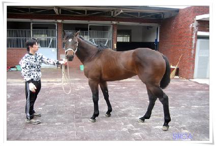 ��Ű��Ű ����