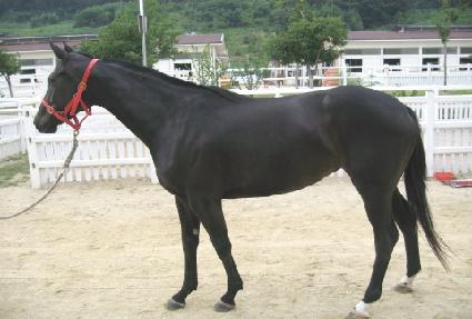 ���ǵ�õ�� ����