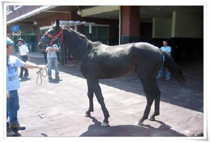 �ٴٿ÷� ����