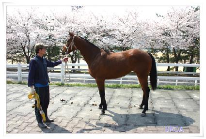 õ��� ����