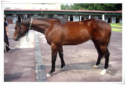 ��ö��� ����