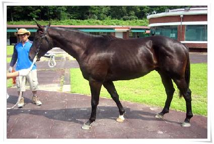 ������� ����