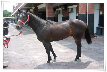 ĭ�ǿ��� ����