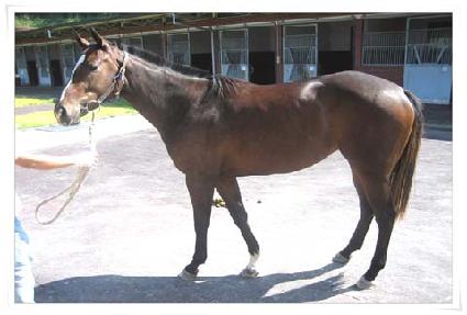 ���ؿ��� ����