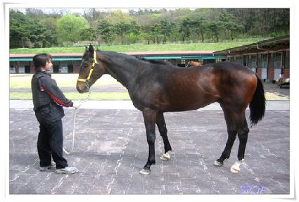 ��� ����