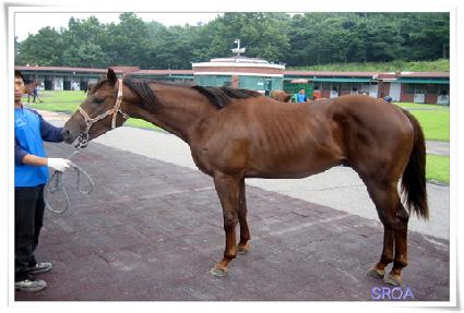 ���̽���Ƽ�� ����