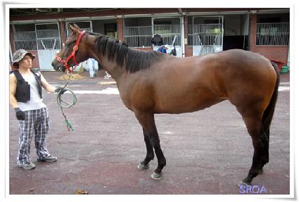 �ູ����Ƽ ����