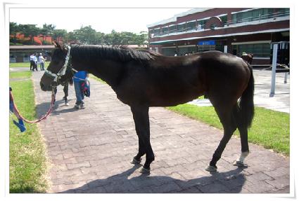 ���� ����