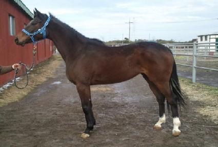 �㽬ƿ�� ����