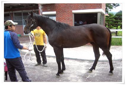 ������ ����