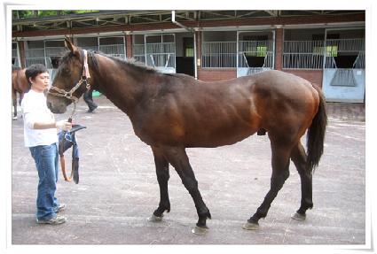 ������ ����