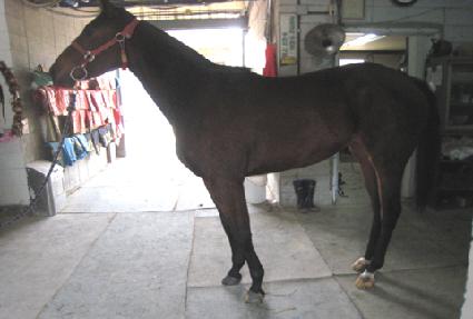 ������޸� ����