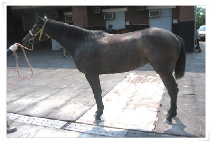 ��Ʈ������ ����