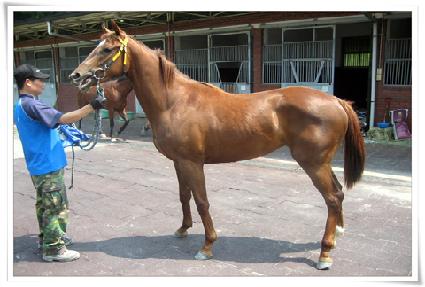 ����Ƽ���̳� ����