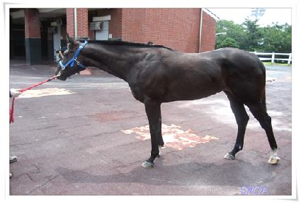 ĭ������ ����