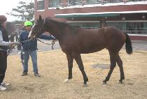 ĭ�ǿ��� (KANUIYEOWANG) ����