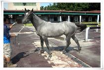 �����÷��� (D.DAY PLUS) ����