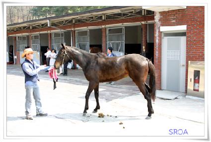 ������� ����