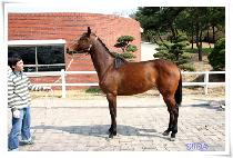 �����̿���Ʈ (OHIO JET) ����