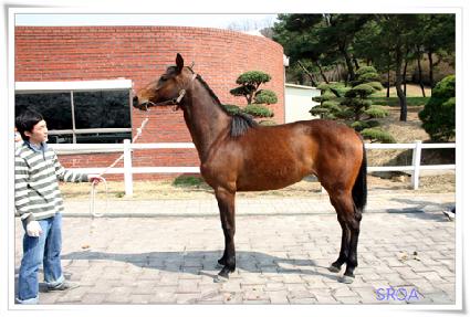 �����̿���Ʈ ����