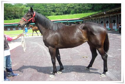 ���Ϸ��÷��� ����