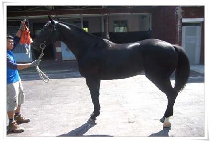 ���а�ȣ ����