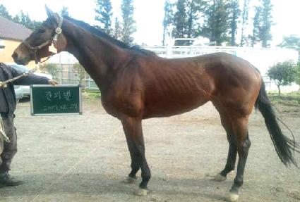 ĭ�Ǻ� ����