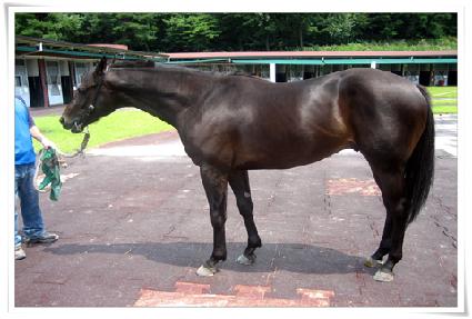 �������� ����