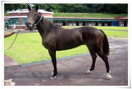 �⸰���� ����