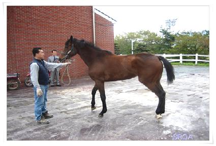 ���� ����