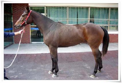 ��Ʈ���̾� ����