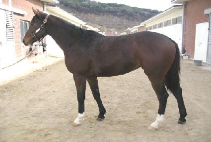 ������� ����