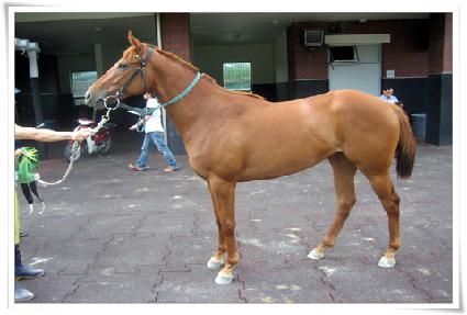 ��Ƽ��Ͻ� ����