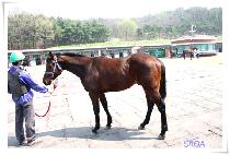 ���۸�ġ (SUPER RICH) ����