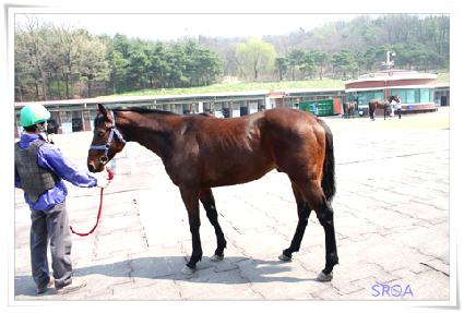 ���۸�ġ ����