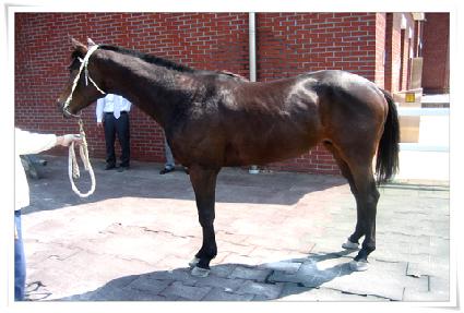 ���絿�� ����