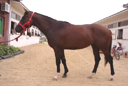 ����屺 ����