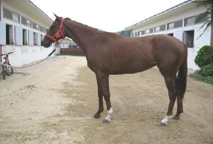 �ɱ� ����