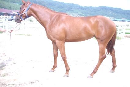 ���д�� ����