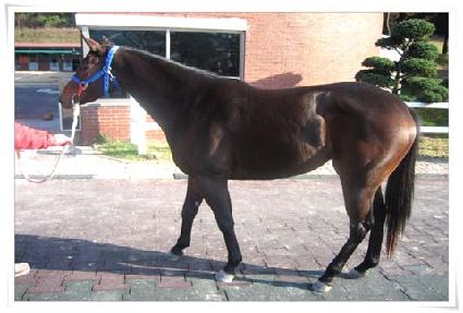 �հ� ����