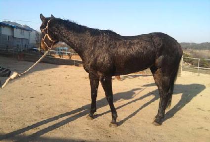 �������� ����