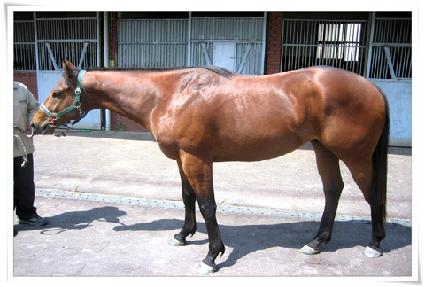 ���� ����