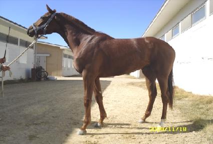 õ������ ����