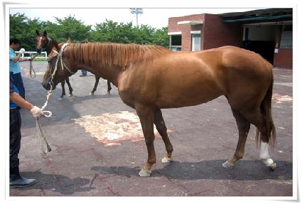 ��ī�̶��� ����