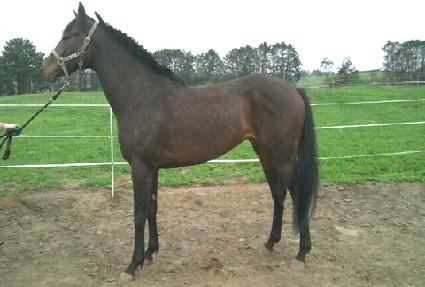 ���� ����