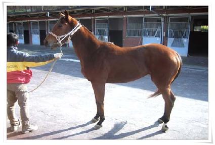 �ð������ ����