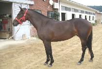 ���� (NAMGANG) ����