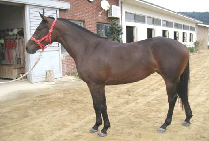 ���� ����