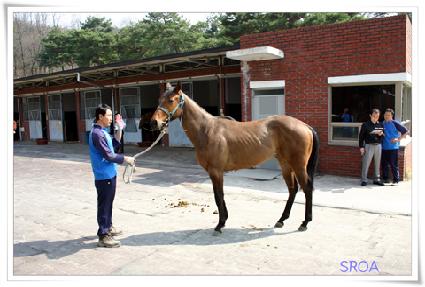 �ݺ� ����