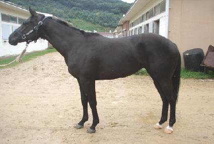 �󺥴��̽�Ʈ ����